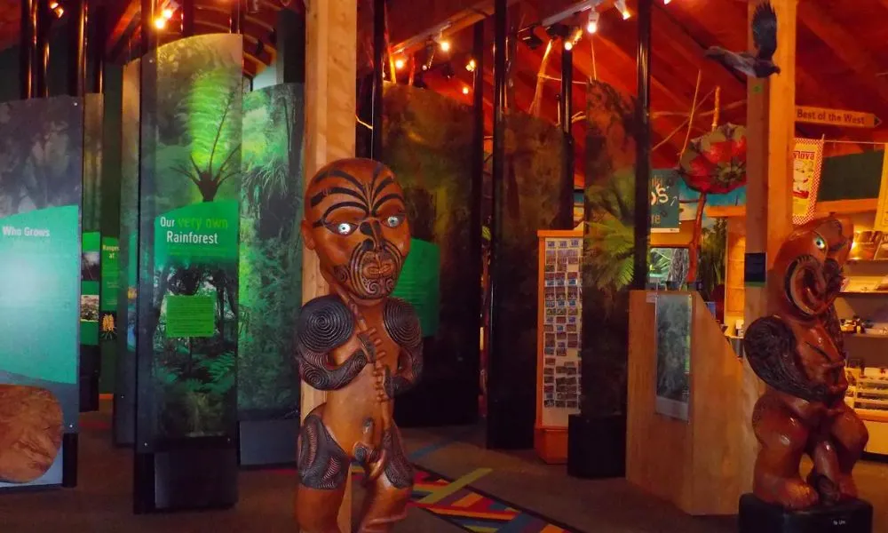 Auckland City & Native Forest Group Tour | Experience Oz + NZ-7