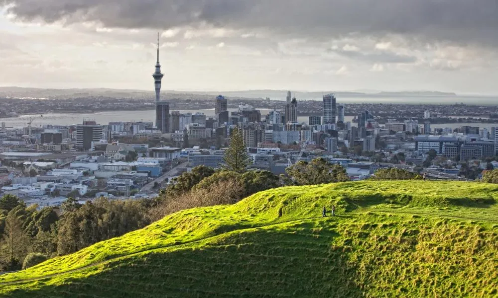 Auckland City & Native Forest Group Tour | Experience Oz + NZ-4