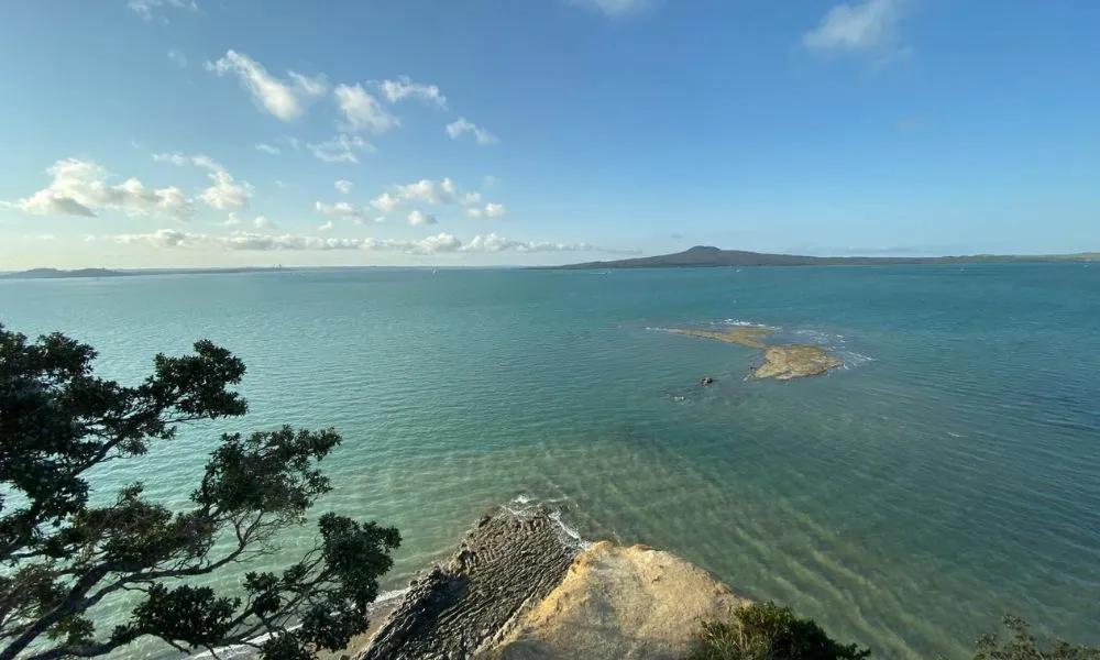 Auckland City & Native Forest Group Tour | Experience Oz + NZ-12