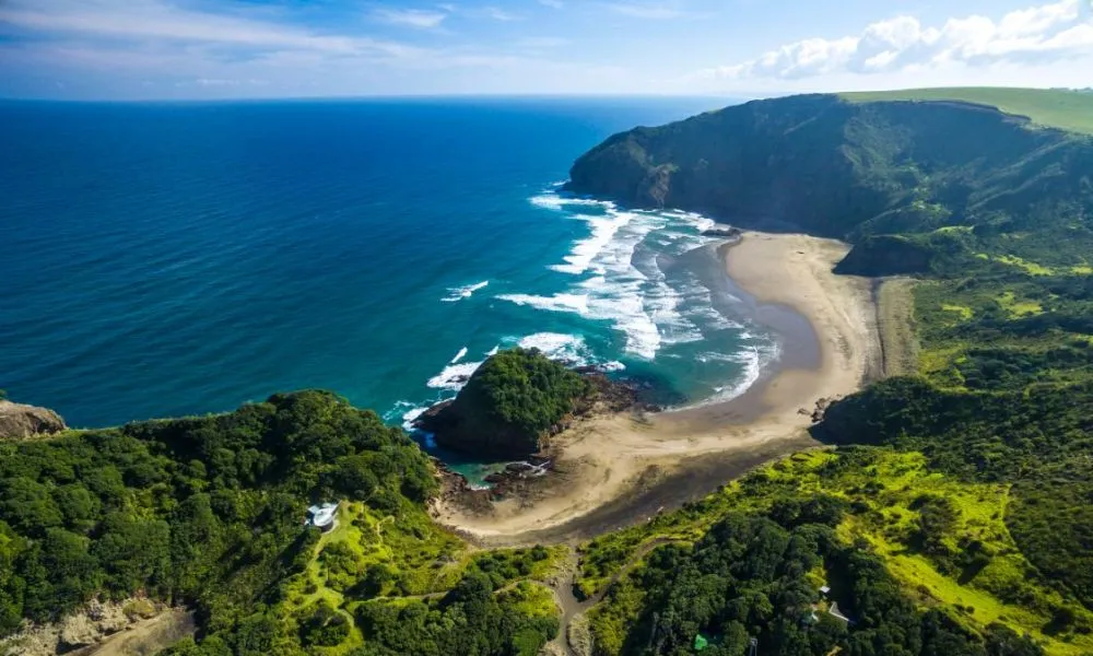 Auckland City & Native Forest Group Tour | Experience Oz + NZ-2