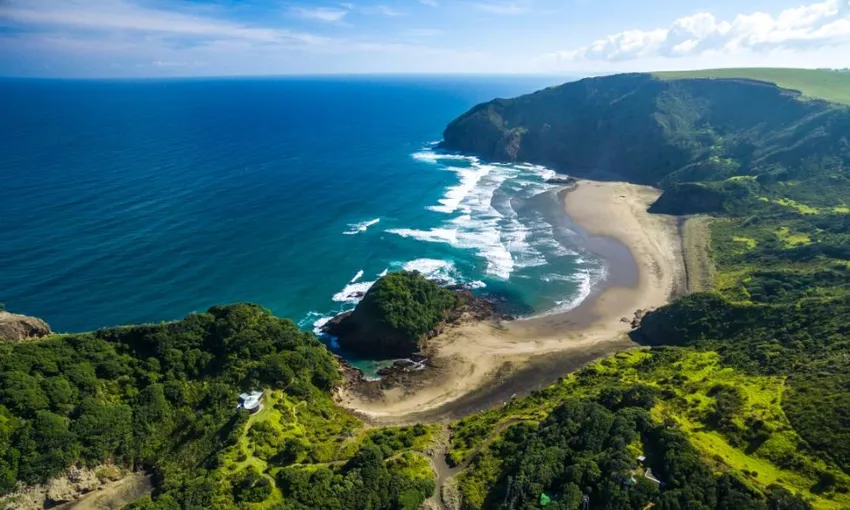 Auckland City & Native Forest Group Tour | Experience Oz + NZ