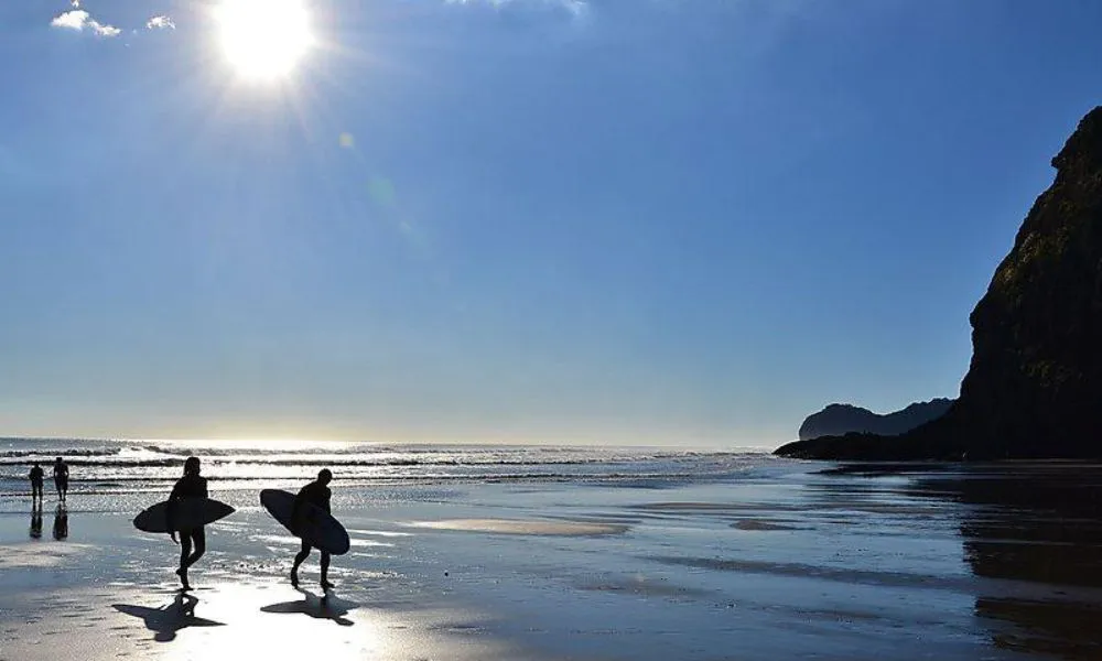 Auckland City & Native Forest Group Tour | Experience Oz + NZ-6