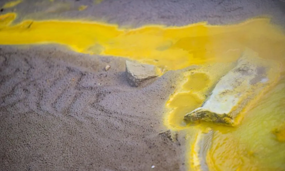 Cultural & Geothermal Experience | Experience Oz + NZ-10