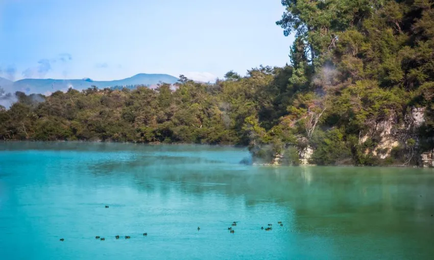 Cultural & Geothermal Experience | Experience Oz + NZ