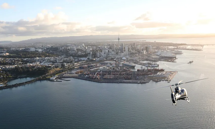Auckland Volcano Scenic Flight | Experience Oz + NZ