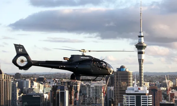 18 Minute Volcanoes and Beaches Helicopter Flight