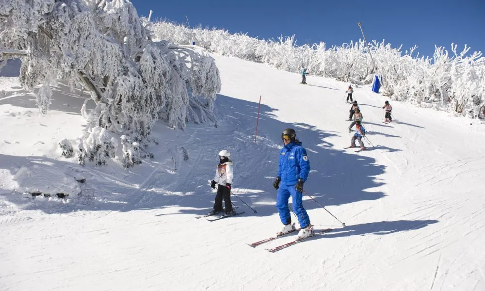 Mt Buller Snow Trip from Melbourne - 1 Day | Experience Oz-1