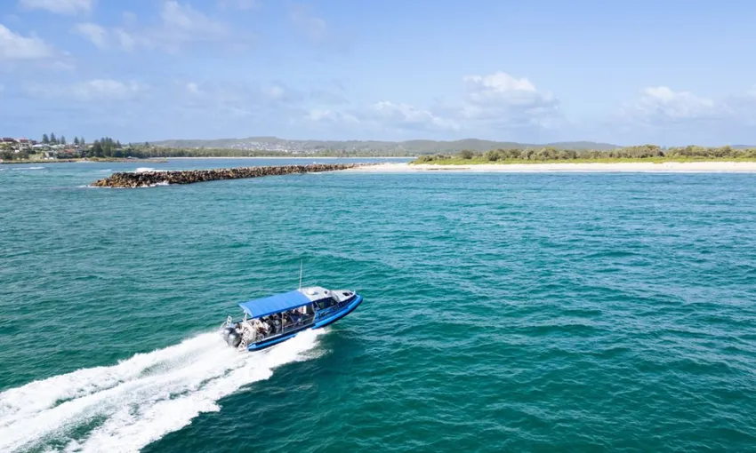 Whale Watching Cruise from Lake Macquarie - 2 Hours 