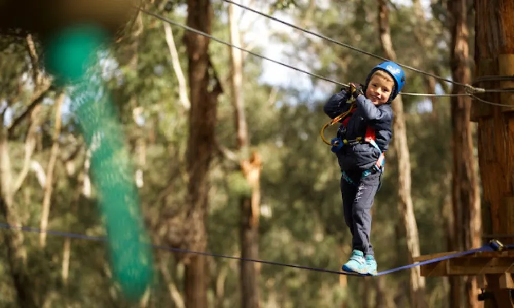 The Hills Treetop Adventure For Kids - 2.5 Hours | Experience Oz-3