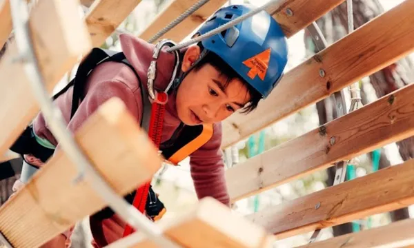 The Hills Treetop Adventure For Kids - 2.5 Hours