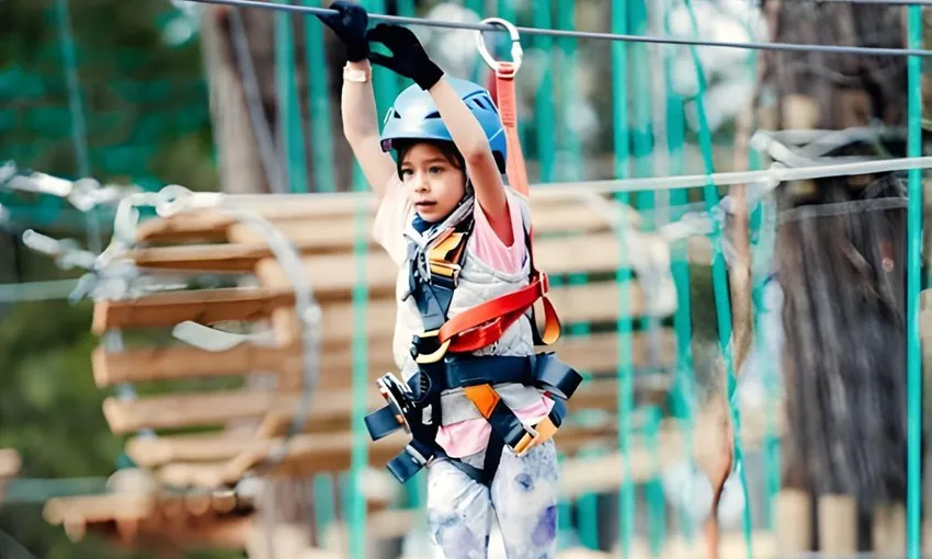 Coffs Harbour Kids Tree Ropes Course - 2.5 Hours | Experience Oz