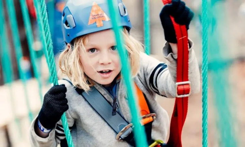 Coffs Harbour Kids Tree Ropes Course - 2.5 Hours | Experience Oz