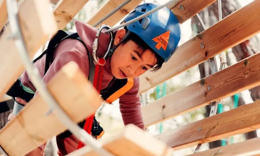 Canberra Tree Ropes Course For Kids - 2.5 Hours | Experience Oz