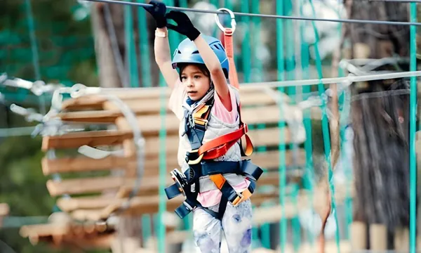Canberra Tree Ropes Course For Kids - 2.5 Hours