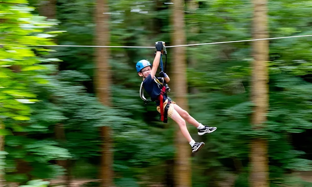Hollybank Treetop Adventure For Kids - 2.5 Hours | Experience Oz-4