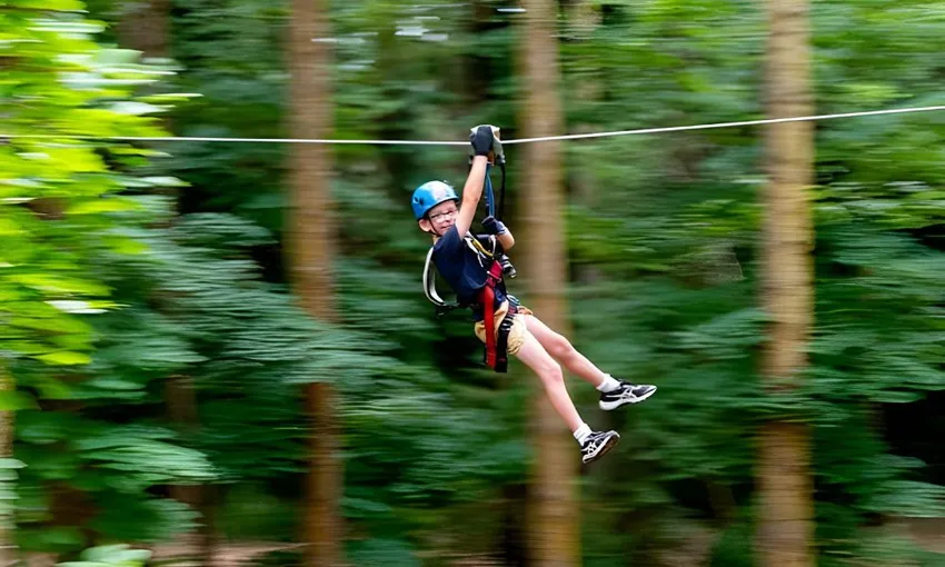 Hollybank Treetop Adventure For Kids - 2.5 Hours | Experience Oz