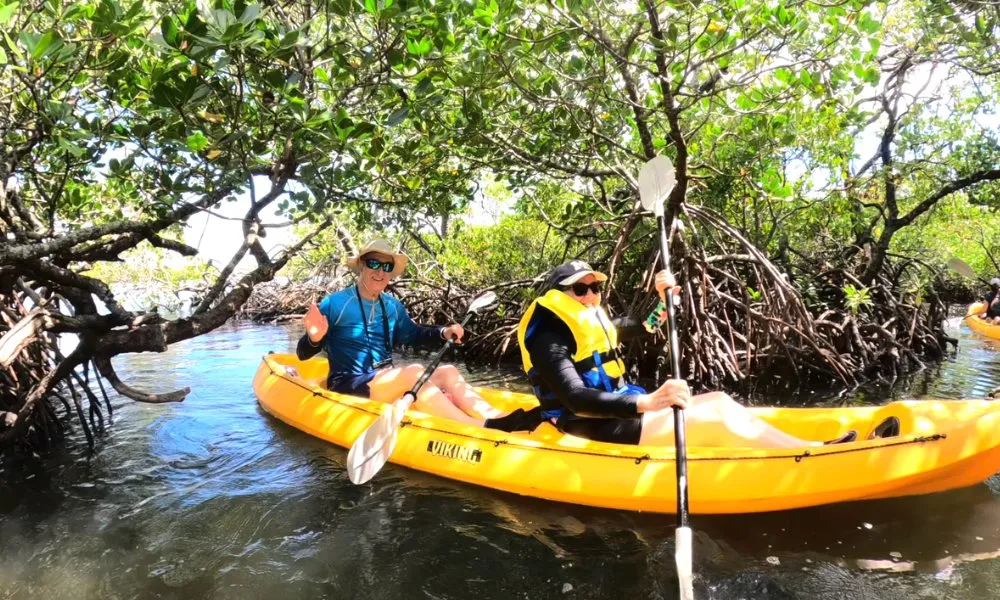 Noosa Hidden Waterways Kayak Adventure - 2 Hours | Experience Oz-5