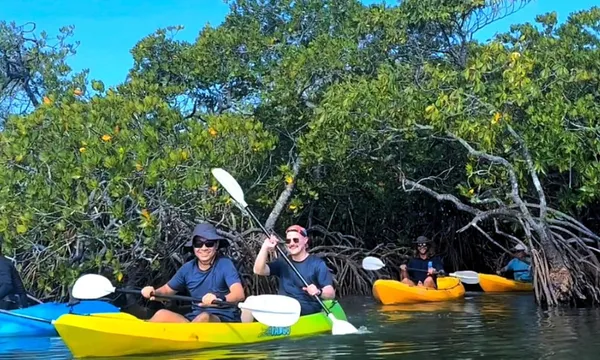 Noosa Heads Hidden Waterways Kayak Adventure - 2 Hours