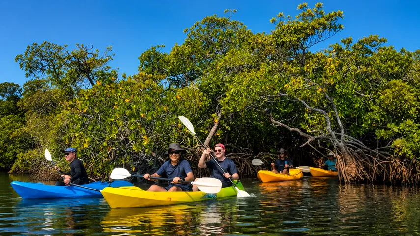 Noosa Hidden Waterways Kayak Adventure - 2 Hours | Experience Oz