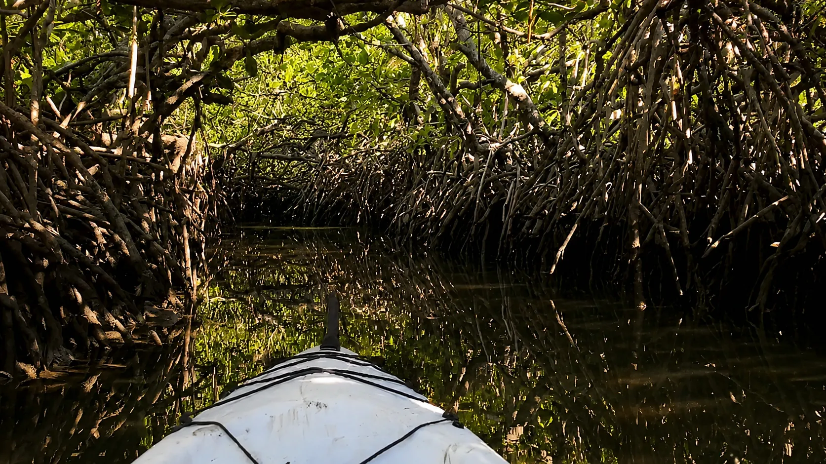 Noosa Hidden Waterways Kayak Adventure - 2 Hours | Experience Oz-5