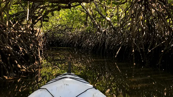 Noosa Heads Hidden Waterways Kayak Adventure - 2 Hours