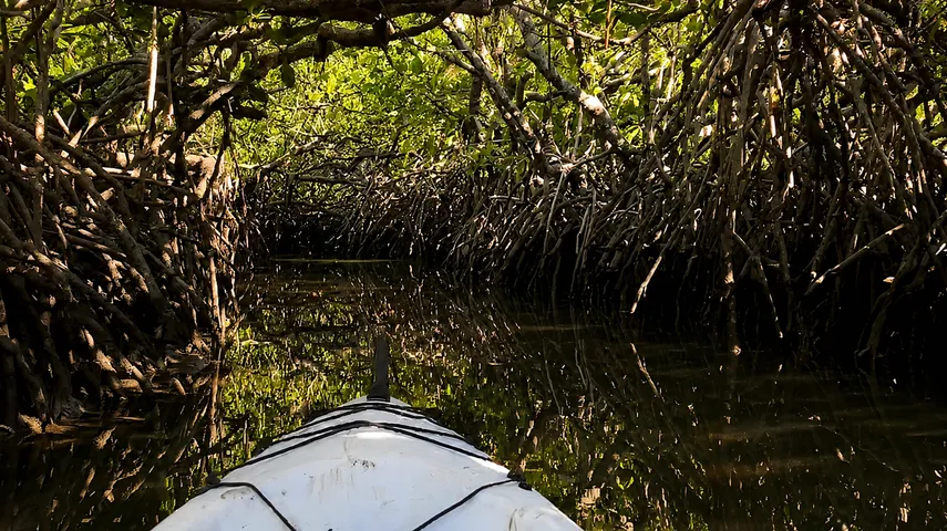 Noosa Hidden Waterways Kayak Adventure - 2 Hours | Experience Oz