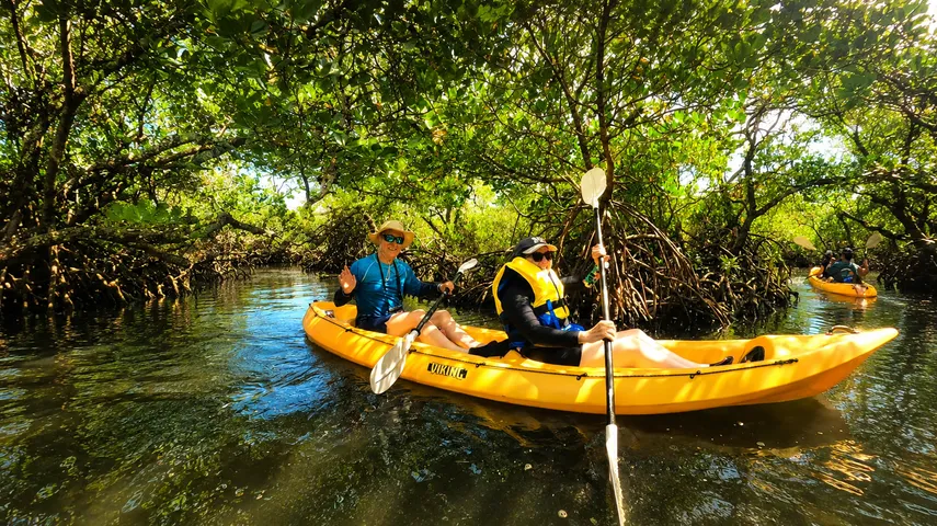 Noosa Hidden Waterways Kayak Adventure - 2 Hours | Experience Oz
