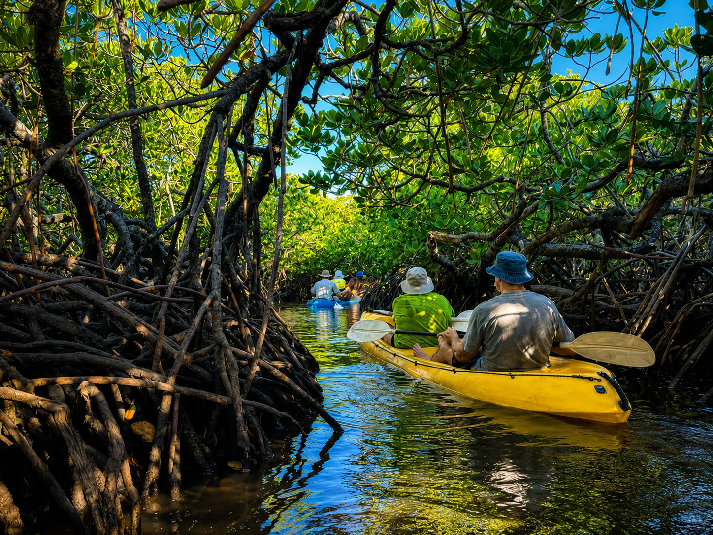 Noosa Hidden Waterways Kayak Adventure - 2 Hours | Experience Oz-7