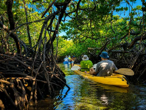 Noosa Heads Hidden Waterways Kayak Adventure - 2 Hours