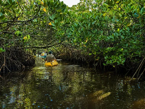 Noosa Heads Hidden Waterways Kayak Adventure - 2 Hours