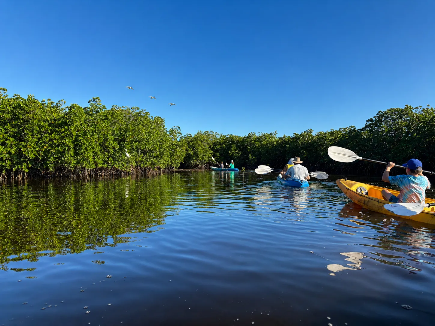 Noosa Hidden Waterways Kayak Adventure - 2 Hours | Experience Oz-9