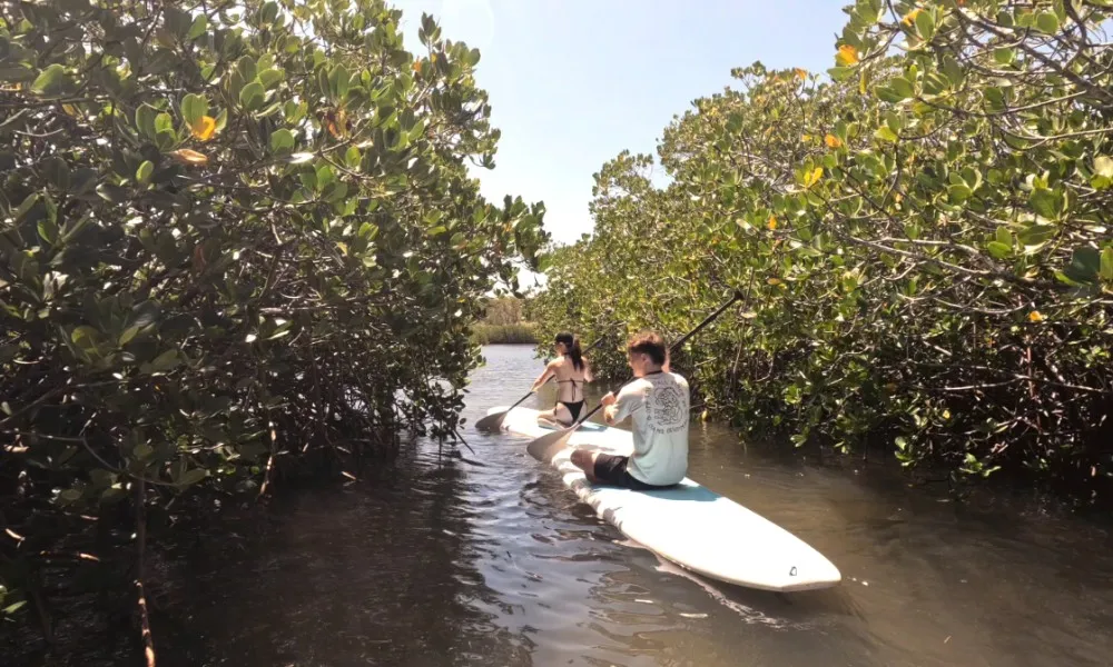 Noosa Heads Stand-Up Paddleboarding - 2 Hours | Experience Oz-2