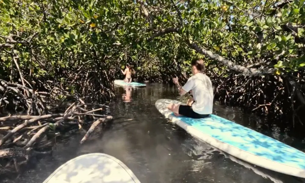 Noosa Heads Stand-Up Paddleboarding - 2 Hours | Experience Oz-5