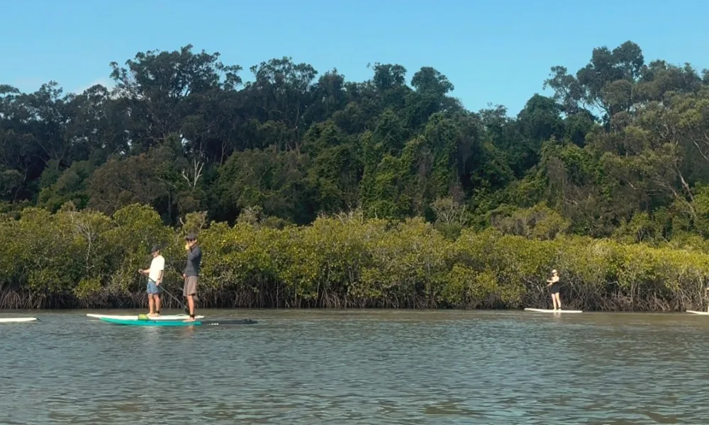 Noosa Heads Stand-Up Paddleboarding - 2 Hours | Experience Oz-3