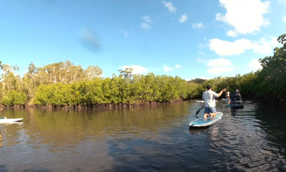 Noosa Heads Stand-Up Paddleboarding - 2 Hours | Experience Oz-4