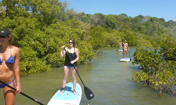 Noosa Heads Waterways Stand-Up Paddleboarding - 2 Hours