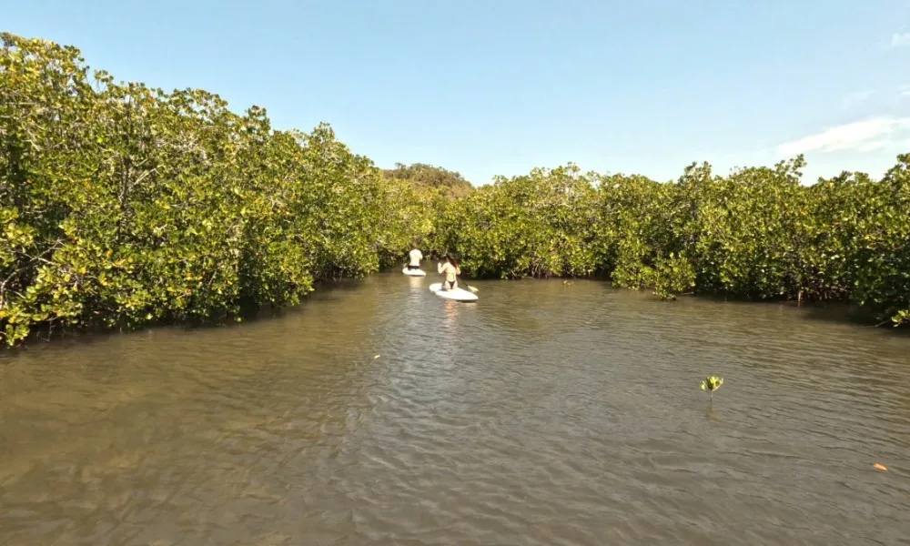 Noosa Heads Stand-Up Paddleboarding - 2 Hours | Experience Oz-6
