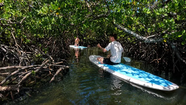 Noosa Heads Waterways Stand-Up Paddleboarding - 2 Hours