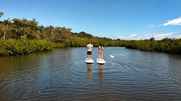 Noosa Heads Waterways Stand-Up Paddleboarding - 2 Hours