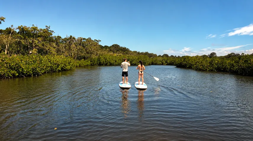 Noosa Heads Stand-Up Paddleboarding - 2 Hours | Experience Oz