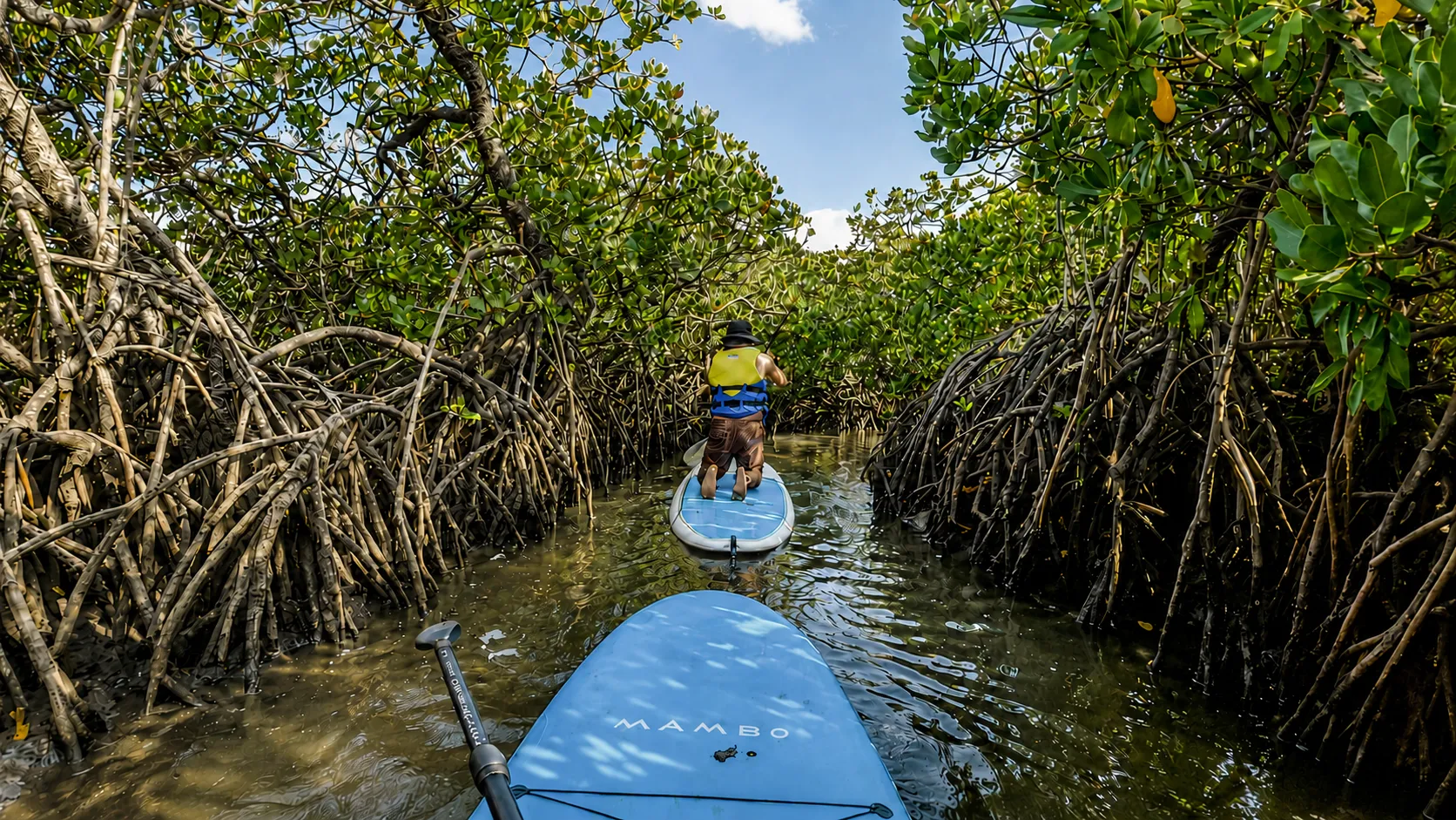 Noosa Heads Stand-Up Paddleboarding - 2 Hours | Experience Oz-4