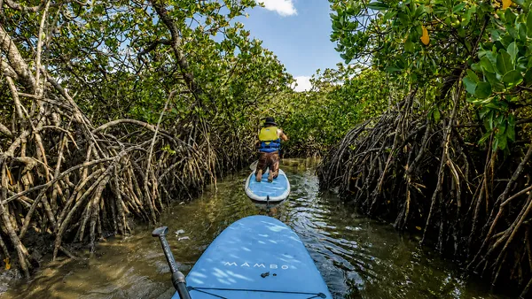 Noosa Heads Waterways Stand-Up Paddleboarding - 2 Hours