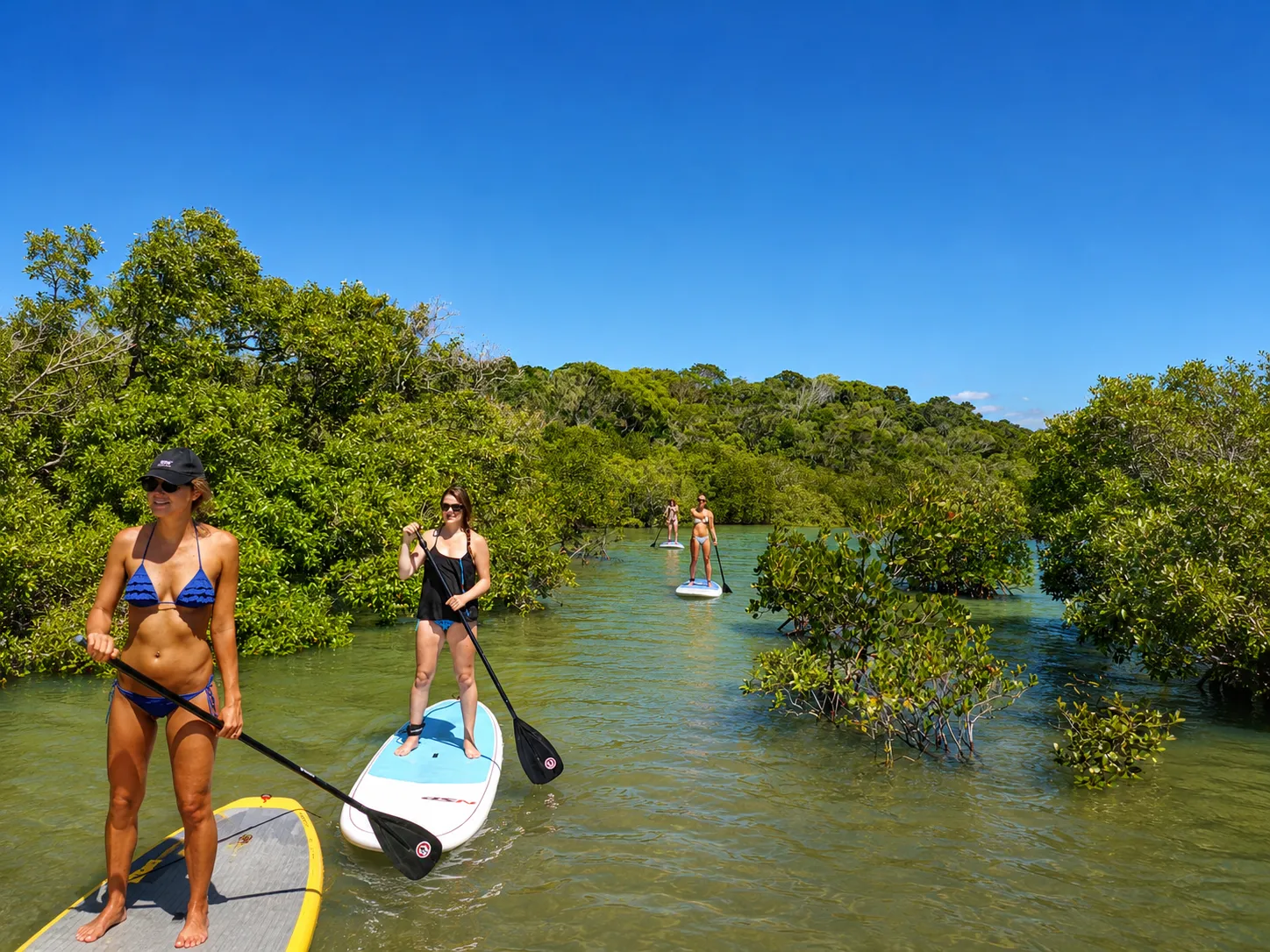 Noosa Heads Stand-Up Paddleboarding - 2 Hours | Experience Oz-5