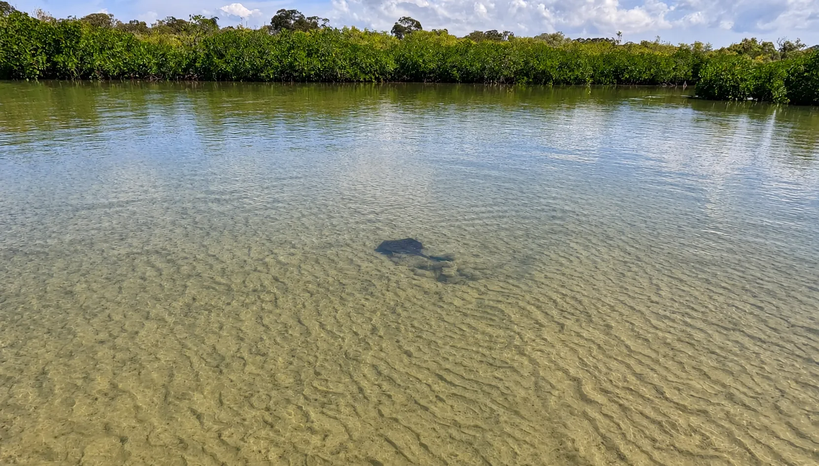 Noosa Heads Stand-Up Paddleboarding - 2 Hours | Experience Oz-6