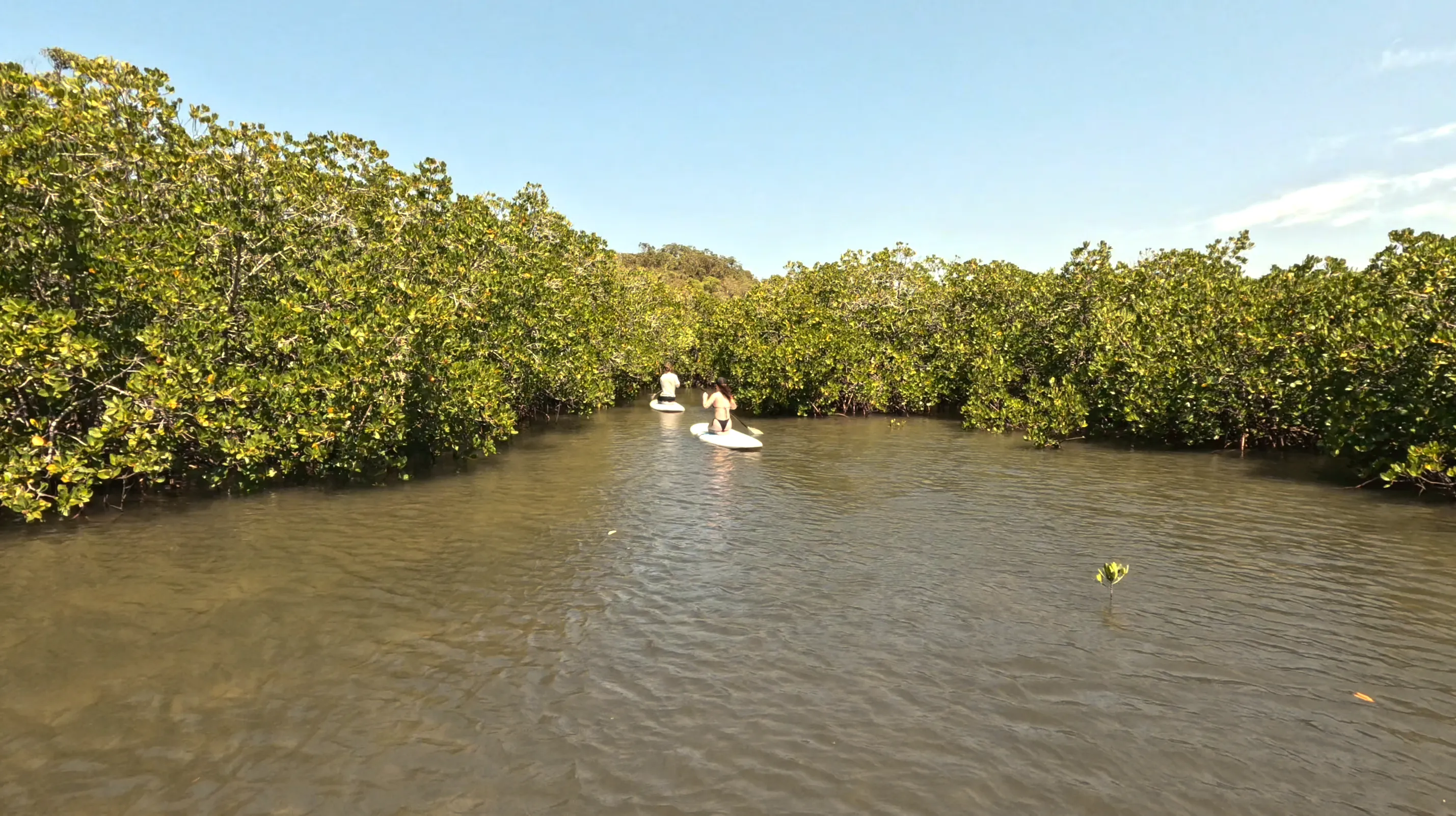 Noosa Heads Stand-Up Paddleboarding - 2 Hours | Experience Oz-8