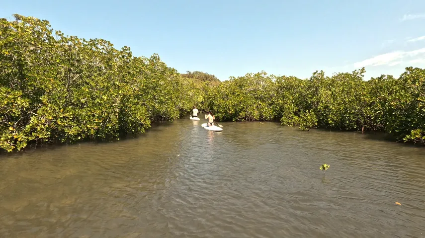 Noosa Heads Stand-Up Paddleboarding - 2 Hours | Experience Oz