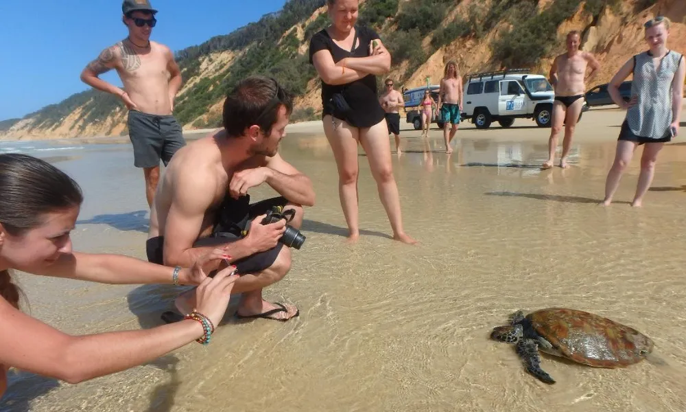 Whale Watching On Ocean Kayaks & Beach 4X4 Tour - Noosa | Experience Oz-5