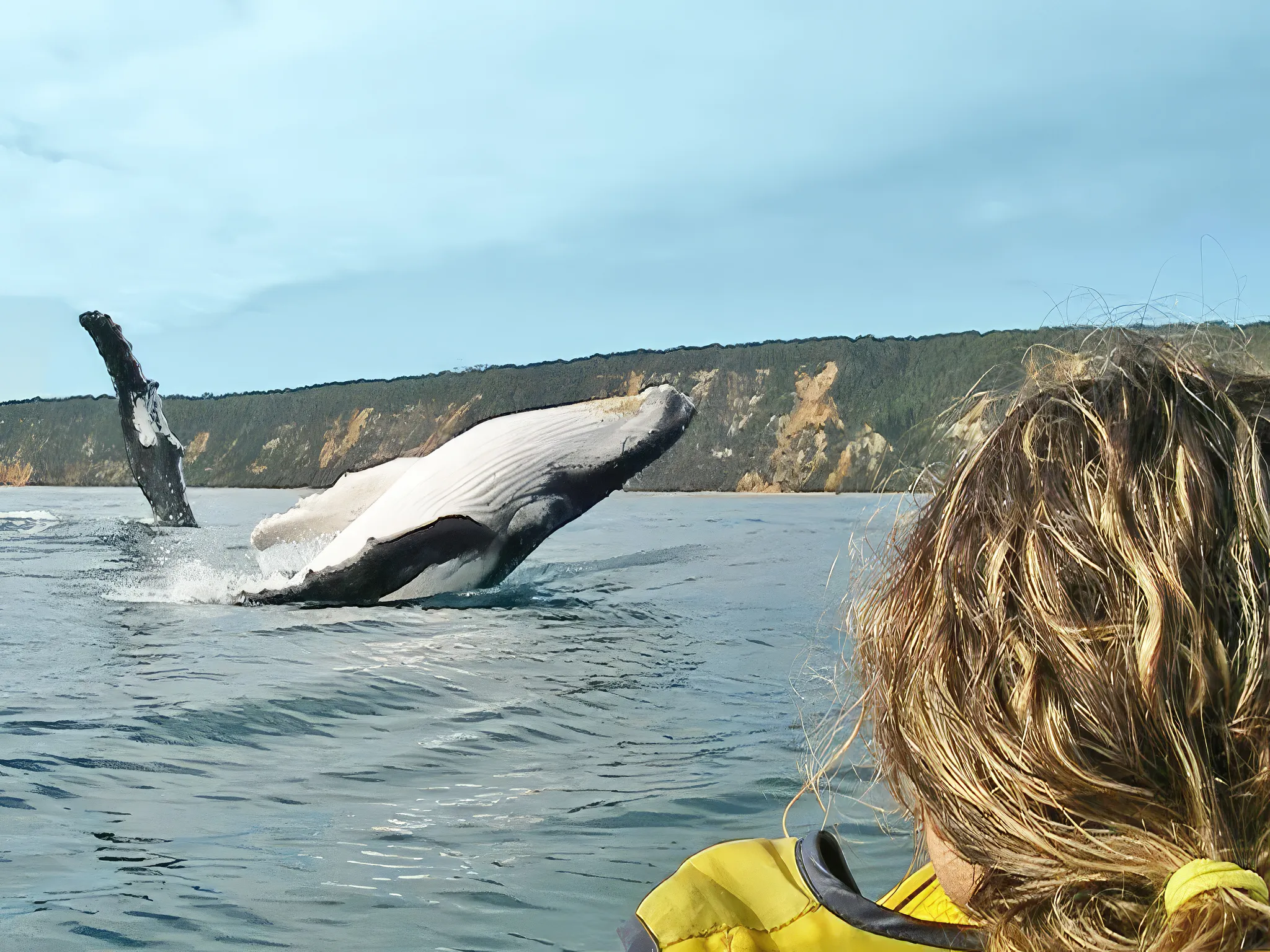 Whale Watching On Ocean Kayaks & Beach 4X4 Tour - Noosa | Experience Oz-4
