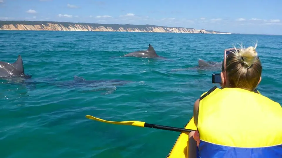 Whale Watching On Ocean Kayaks & Beach 4X4 Tour - Noosa | Experience Oz-8