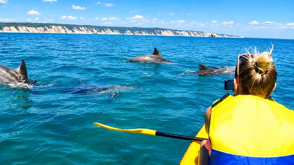 Whale Watching On Ocean Kayaks & Beach 4X4 Tour - Noosa